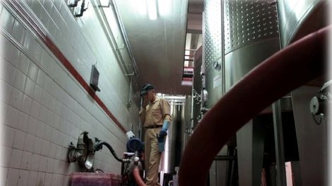 Vinos: se profundiza el malestar