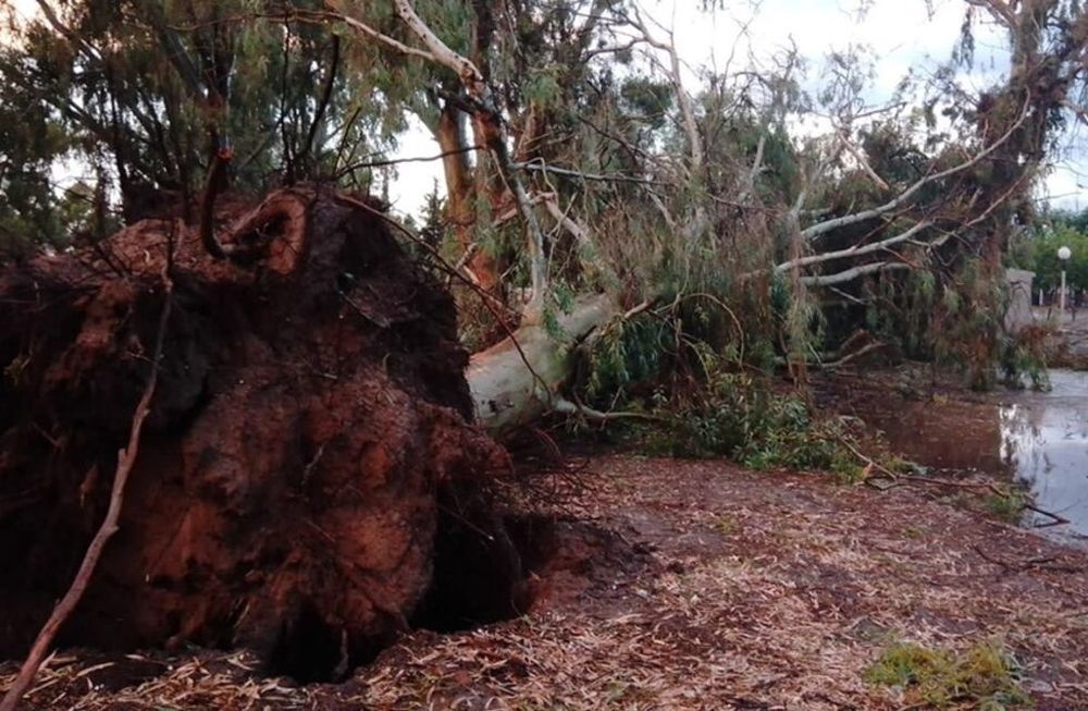 Una fuerte tormenta afectó a varias localidades del Este provincial durante la tarde y noche del jueves. Gentileza.