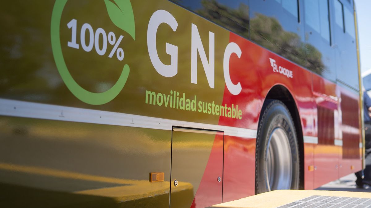Avanza un estudio clave para definir si colocarán equipos de GNC en 1.300 colectivos