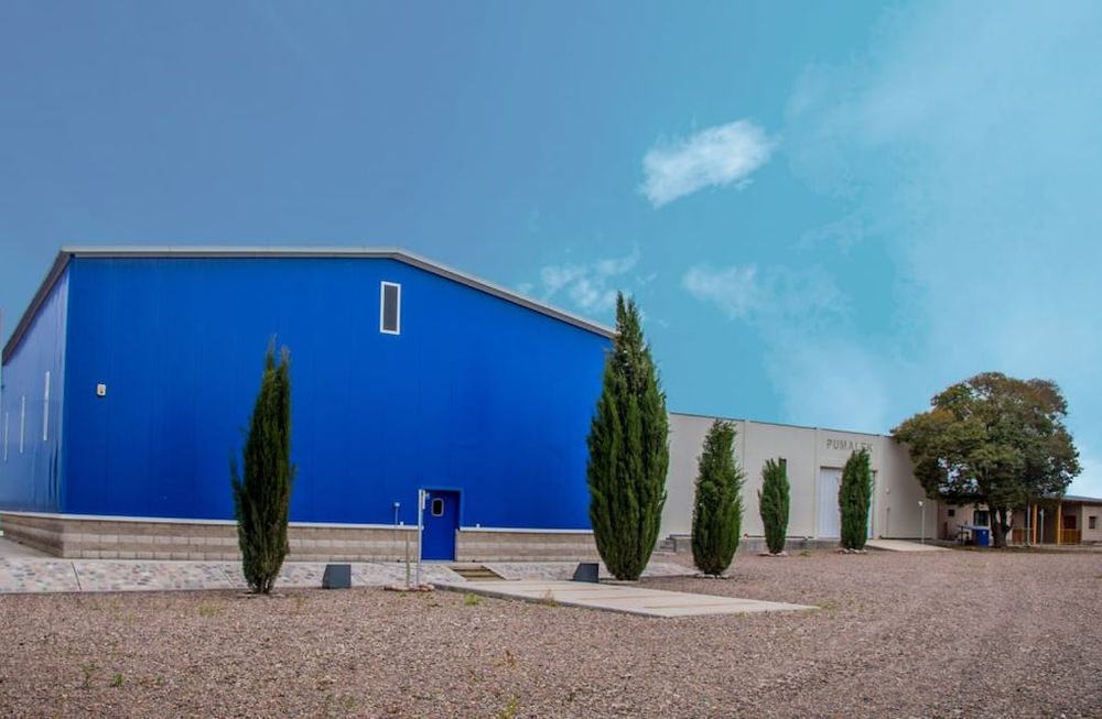 Bodega Pumalek, hacedora de Lambrusco Grasparossa