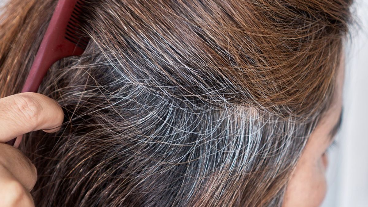 La ciencia revela el origen de las canas y descubre que es u