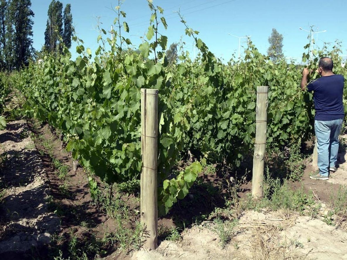 Son tiempos de hablar en serio - Por Sebastián Lafalla