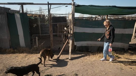 El refugio Rousi tiene perros abandonados en su refugio que alquila y necesita ayuda para poder seguir manteniéndolos.  Foto: Ignacio Blanco / Los Andes