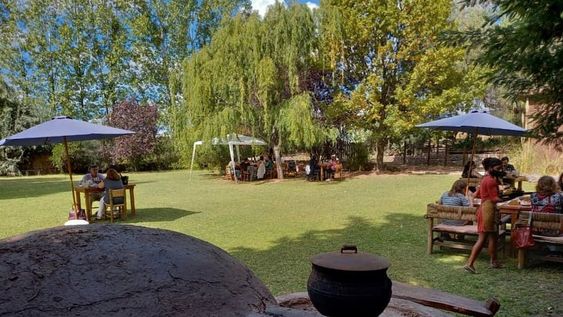 Disfrutá de un almuerzo maridado con los mejores vinos, en Corteza del Aguaribay