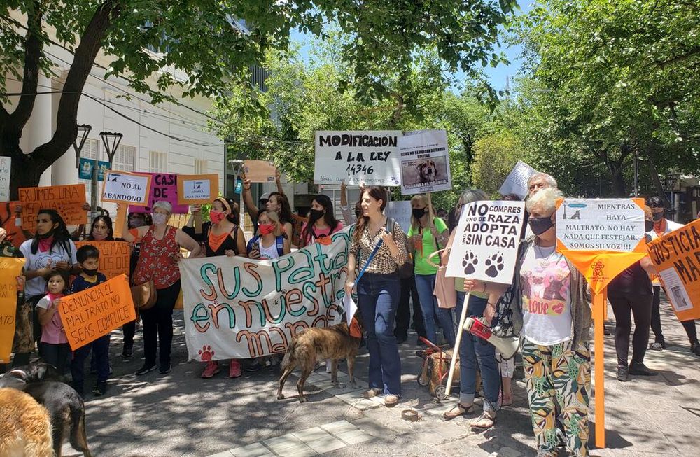 Marcha por el maltrato animal: mascotas y sus humanos pidieron penas más fuertes para los maltratadores