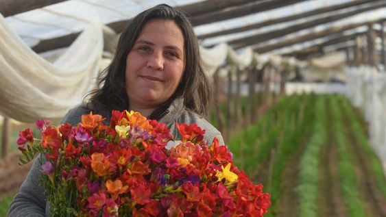 Mendoza 25 de agosto de 2020  FincasFlores, vivero, plantas  Laura Dagostino Ingeniera Agrónoma, especialista en cultivo de flores de corte, asesora a 23 propietarios de viveros de floresFoto: José Gutierrez / Los Andes