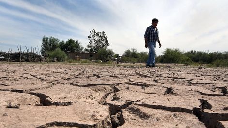 Los Andes | Mendoza, 22 de noviembre de 2018   Sociedad EconomiaLavalle- Puesto San Jose. Puesteros viven en los solitarios parajes rodeados de desierto. La sequia en Lavalle y problemas con ganados caprino aumentan con las temperaturas del verano .Foto: Orlando