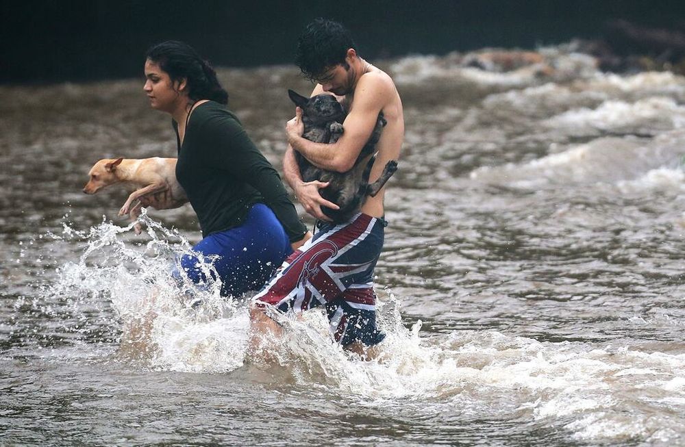 Hawái sin descanso: después del volcán entra en alerta por el huracán Lane