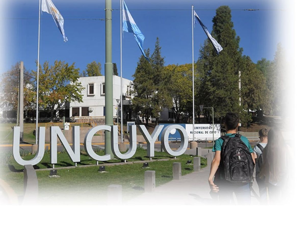 La educación universitaria - Por Paulo Falcón