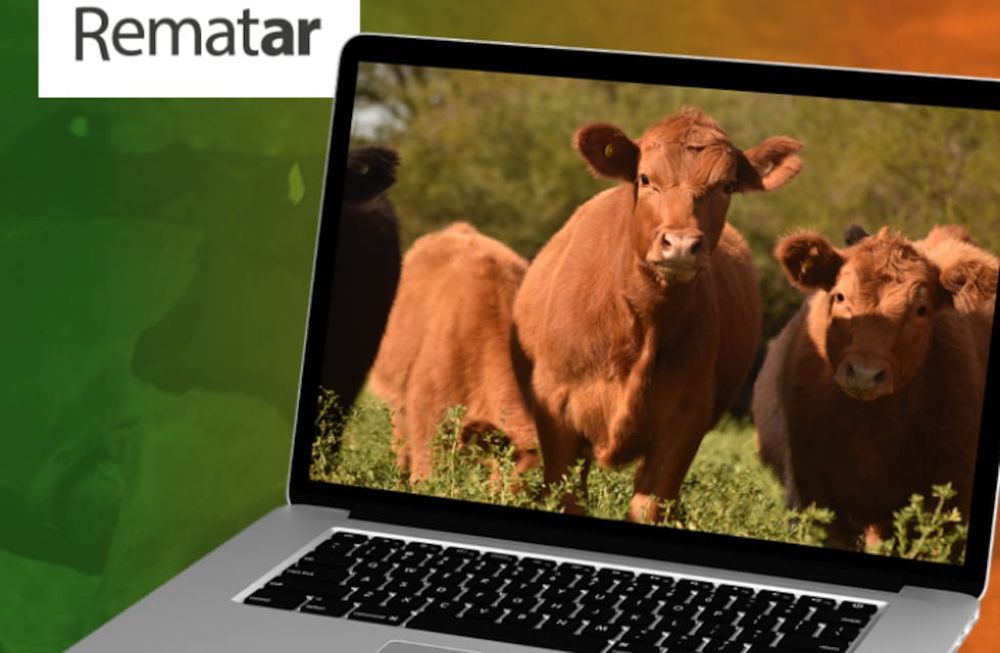 Este miércoles 24 se llevará a cabo un Remate Especial de Rosgan transmitido por Rematar. En esta oportunidad, estará a cargo de la casa consignataria Pastore y Cía.