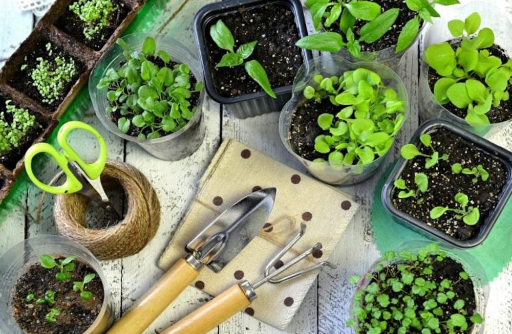 Se viene una interesante capacitación sobre Huerta Agroecológica