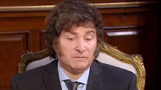 Milei contra los legisladores por el “dietazo”: “Que no me vengan con que a ellos no les alcanza” (LN+)