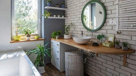 Plantas en el baño