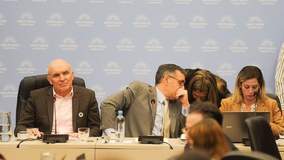 Los diputados José Luis Espert y Alejandro Finocchiaro, presidentes de las comisiones de Presupuesto y de Educación (Foto: Federico López Claro)