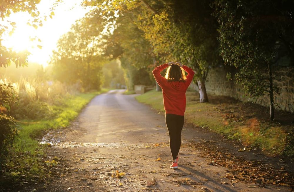 Bienestar docente, alimentación y sedentarismo en el Ciclo de Encuentros Virtuales de MELE