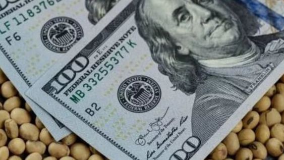 Más cepo: los que recibieron dólar soja no podrán comprar la divisa oficial.