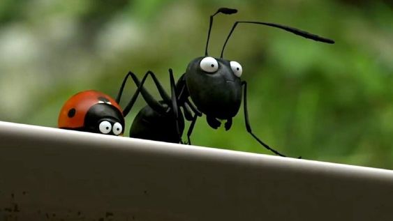Microaventuras