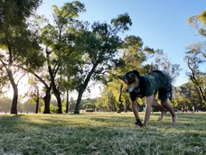 Un therian habría atacado a una adolescente en Córdoba. (ilustrativa) Un therian habría atacado a una adolescente en Córdoba. (ilustrativa)