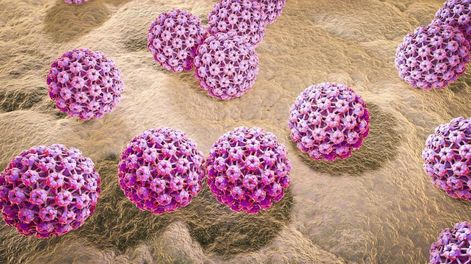 La orofaringe es la sección media de la garganta (faringe). Scientific Animations/Wikimedia Commons, CC BY-SA.