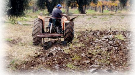 Día mundial del suelo - por Jorge Alonso y Juan Fallet