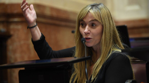 Ley de Propiedad Privada: el llamativo posteo de Juliana Di Tullio tras la sesión en el Senado