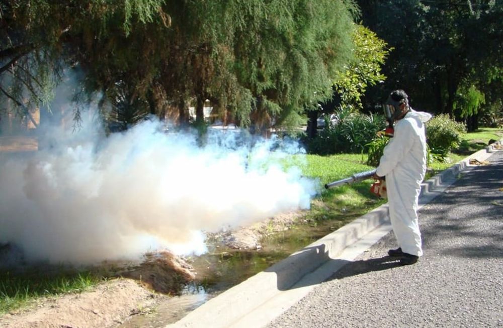 Dengue: los usuarios suelen reclamar por fumigaciones y cuestionar la falta de ellas al gobierno y las comunas. Sin embargo, especialistas y autoridades hacen algunas salvedades al respecto y advierten que no es una estrategia que deba usarse de manera masiva. Por el contrario, tal cosa podría ser contraproducente.