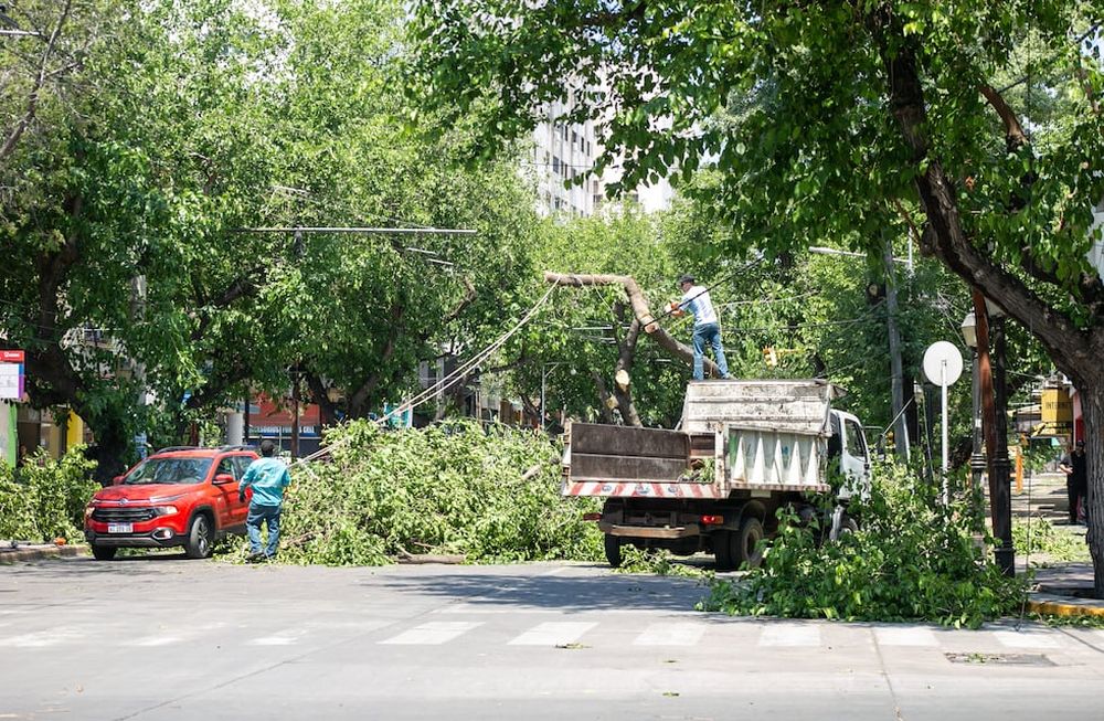 Continúa el operativo de la Ciudad frente al zonda más intenso de los últimos años