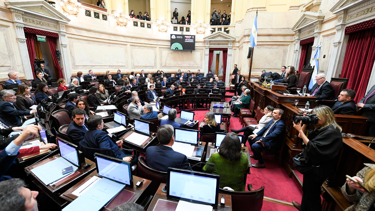 El Gobierno consiguió aprobar en el Senado la ley de regularización de armas