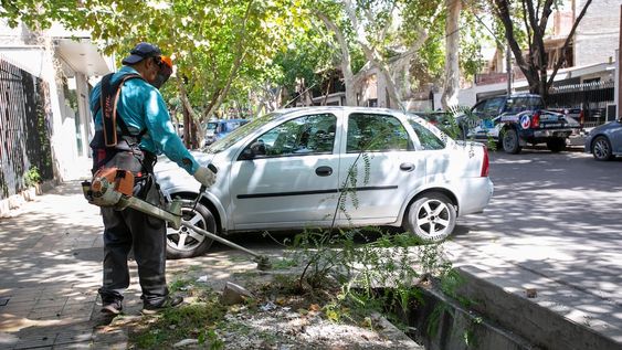 Conocé las medidas de prevención contra el dengue y colaborá con la campaña de la Ciudad