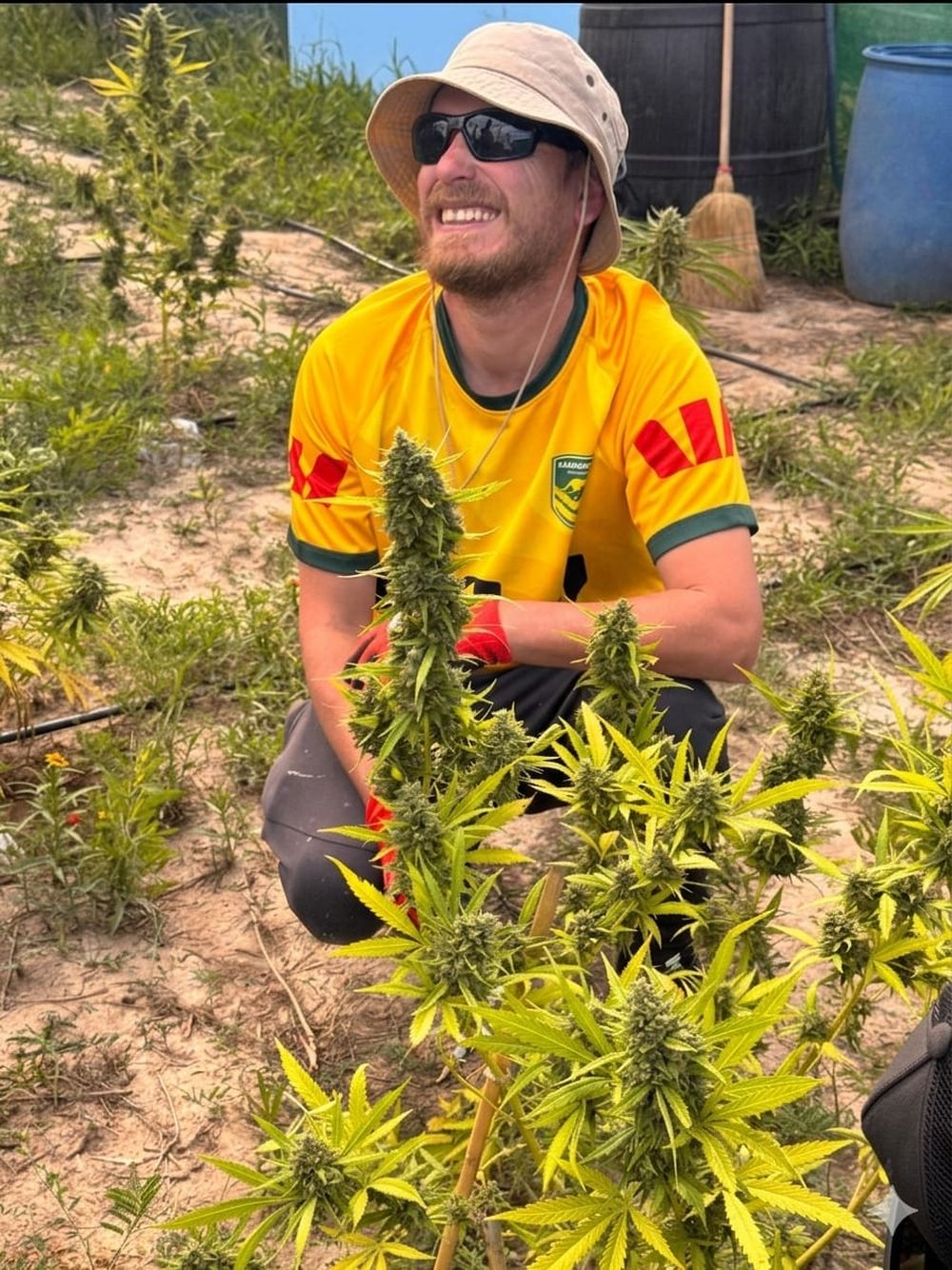 Cannabis medicinal: el inédito proyecto mendocino para producir a 3,000 msnm y que aportará información clave