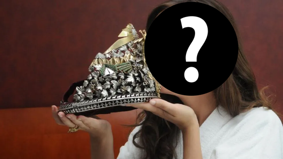 la reina nacional de la vendimia 2026 es... lectores de los andes eligieron a sus candidatas favoritas