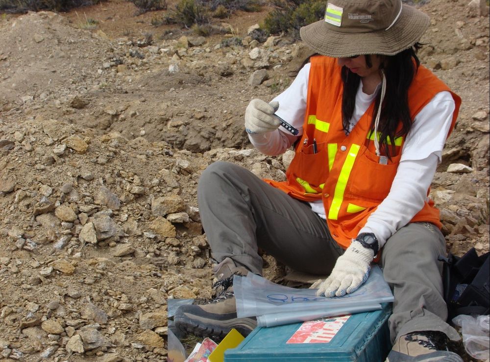 Una encuesta mostró cuáles son los profesionales más demandados por la minería y qué oficios se necesitan. Una encuesta mostró cuáles son los profesionales más demandados por la minería y qué oficios se necesitan.