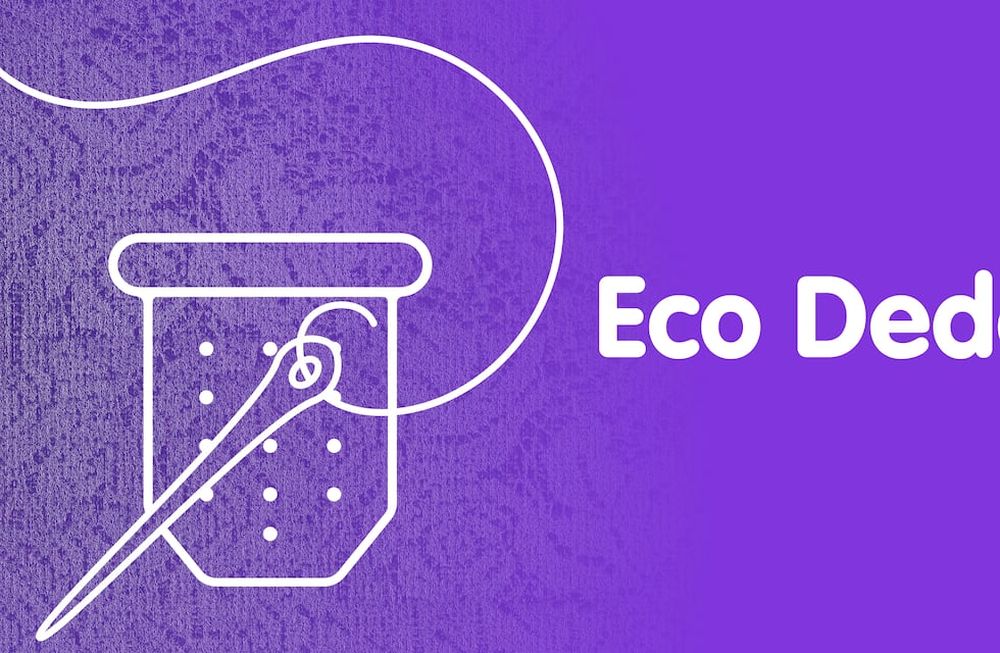Eco Dedal: la iniciativa de Guaymallén para reducir la contaminación por residuos textiles