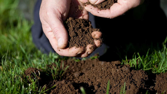 Un jardinero mostró como hacer tierra nutritiva casera para tus plantas y asegura que es mejor que la comprada