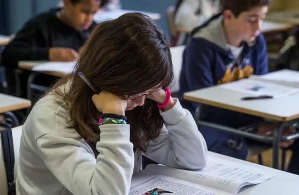 Casi el 30% de los estudiantes argentinos asisten a colegios privados.