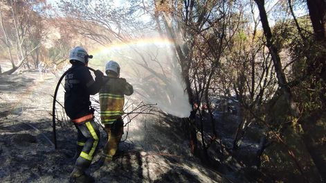 Los Andes | El fin de semana se registró un siniestro, aparentemente por un fuego de asado mal apagado, que  quemó 5 hectáreas de campo entre Vallecitos y El Salto / Nicolás Ríos