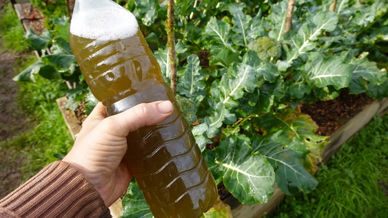 Jardín y jardinería apuestan por plantas fuertes con nutrientes naturales reutilizados.