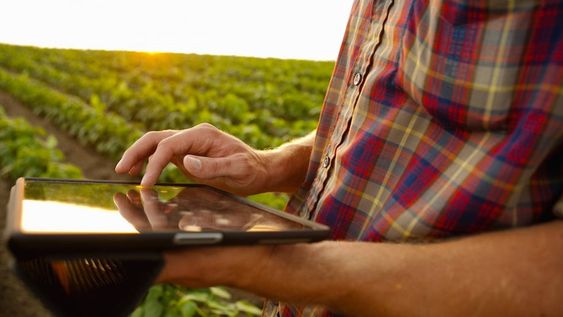 Con una gran experiencia de base durante 2020, cada vez más se suman desde el agro que venden valor agregado de alimentos y bebidas con base on line.
