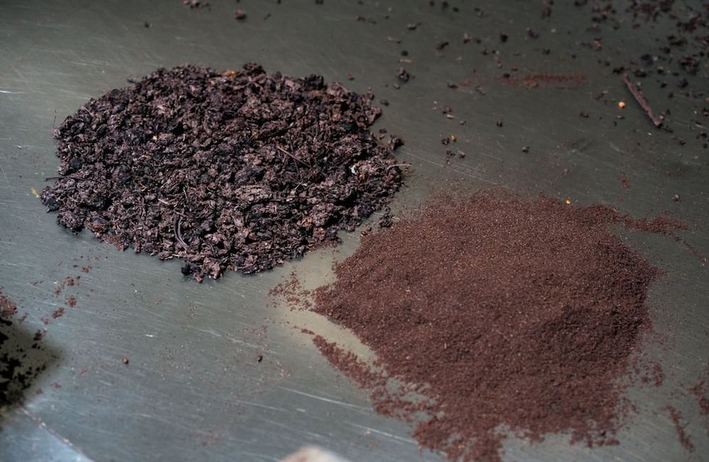 El proyecto de Finca Dinamia busca convertir el orujo en harina de uva, también llamada harina de vino, uva deshidratada o polvo de uva. Gentileza: Finca Dinamia