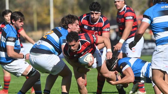 Uno de los cotejos de rugby más importantes en el Torneo del Interior fue el que sostuvieron los mendocinos de Los Tordos y Liceo. La victoria fue para los Clavos.