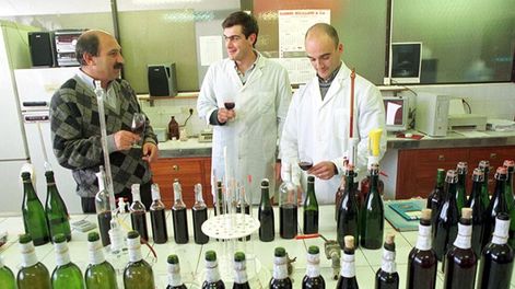 Nuestra ley vitivinícola  debe revisar sus objetivos - Por Comisión técnica de la UVA