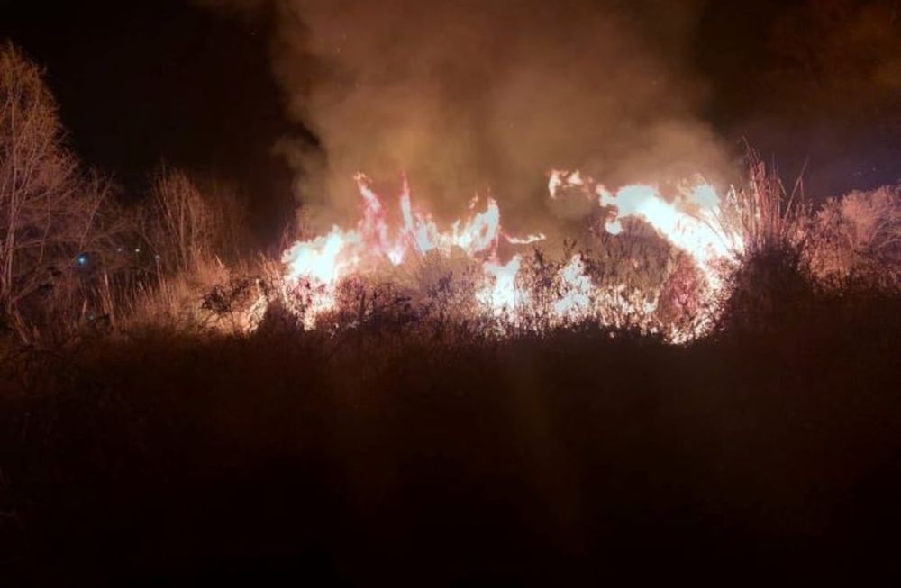 El jueves por la tarde y el viernes en la madrugada se produjeron incendios en San Carlos, uno de ellos dejando a bomberos hospitalizados. (Gentileza El Cuco Digital).