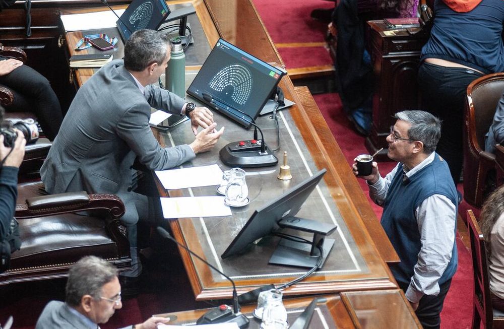 El gobierno busca salvar la ley bases en la Cámara de Diputados. Foto: Federico Lopez Claro