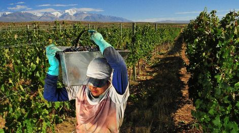 Claudio Gutierrez / Archivo Los Andes