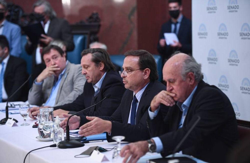 Se realizó un nuevo plenario de las comisiones de Asuntos Constitucionales y Justicia del Senado (Foto: Comunicación Senado)
