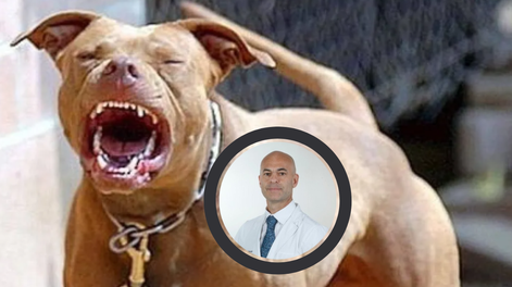 Cinco pitbulls atacaron a un prestigioso neurocirujano mientras entrenaba: Gracias a la ayuda puedo contarlo. Foto: Los Andes