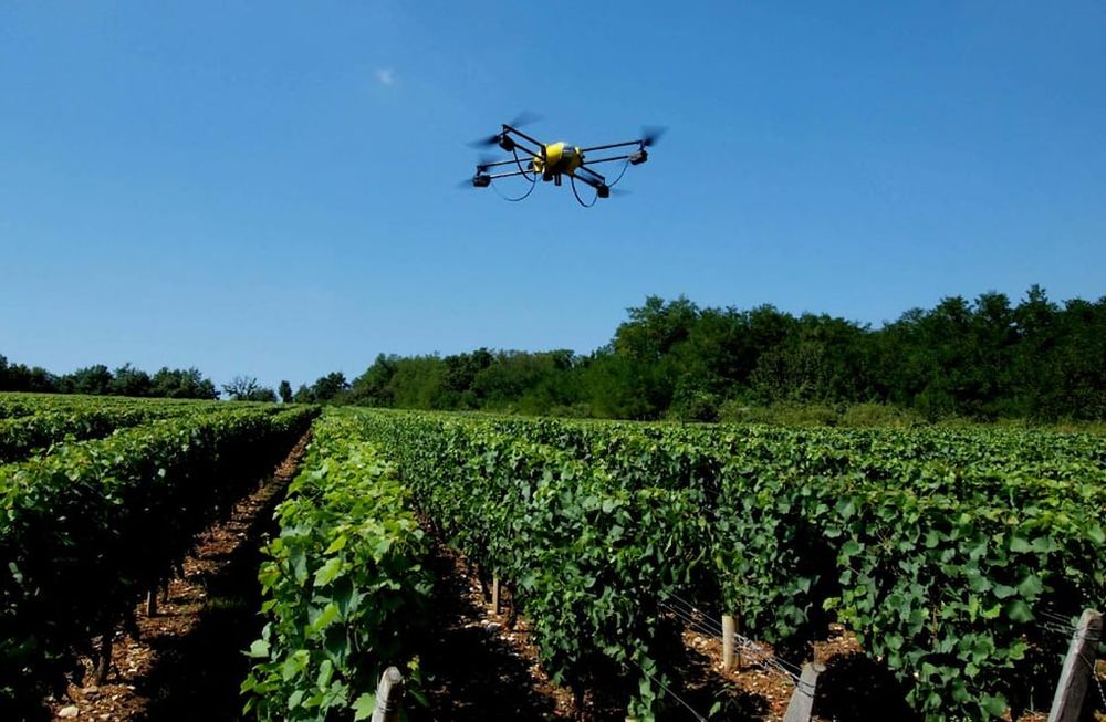 Entre otras opciones, se podrán presentar proyectos vinculados con la inteligencia artificial, agrotecnología y energías renovables.