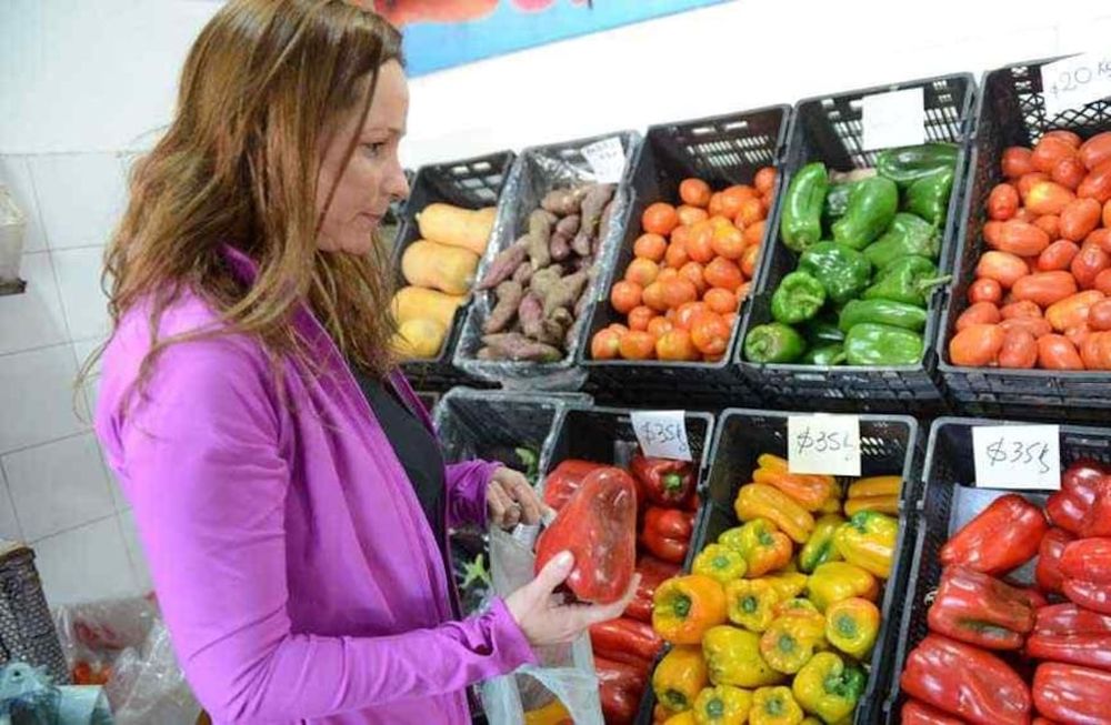 CANASTA. Las verduras y las frutas, las que más subieron (Archivo).