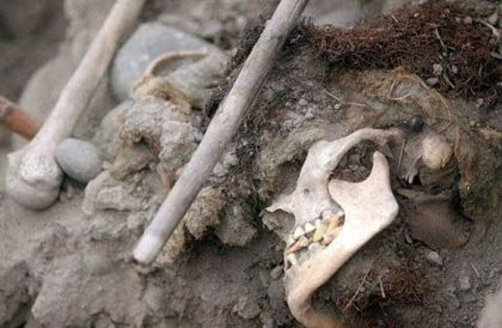 Hallan una fosa común con restos humanos de la época colonial en Bolivia