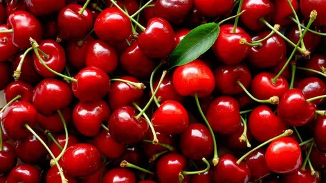 Las cerezas contienen melatonina y polifenoles, que contribuyen a reducir la inflamación y mejorar la calidad del sueño en adultos mayores.